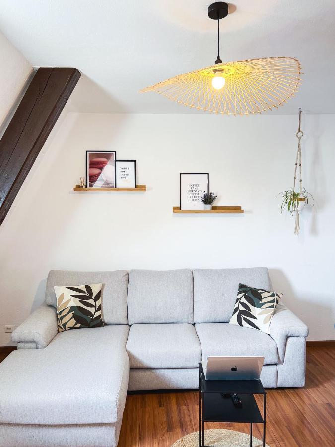 Appart'Hotel Le Dornach - Proche Gare Et Autoroute Mulhouse Exterior photo